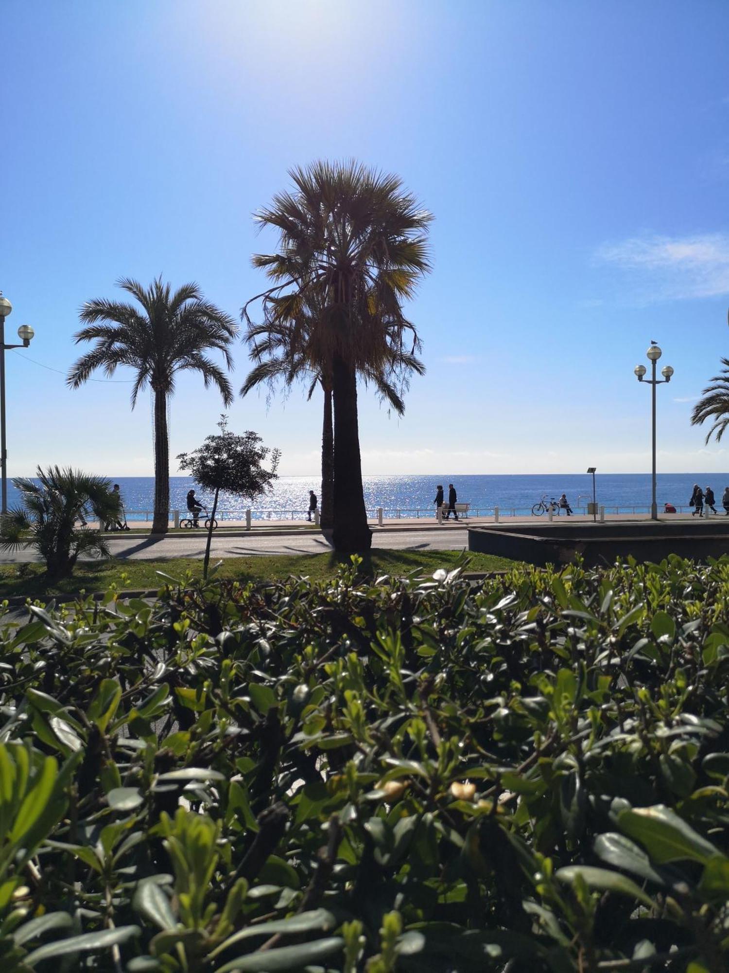 Garden Atlantide Promenade Nice Exterior foto