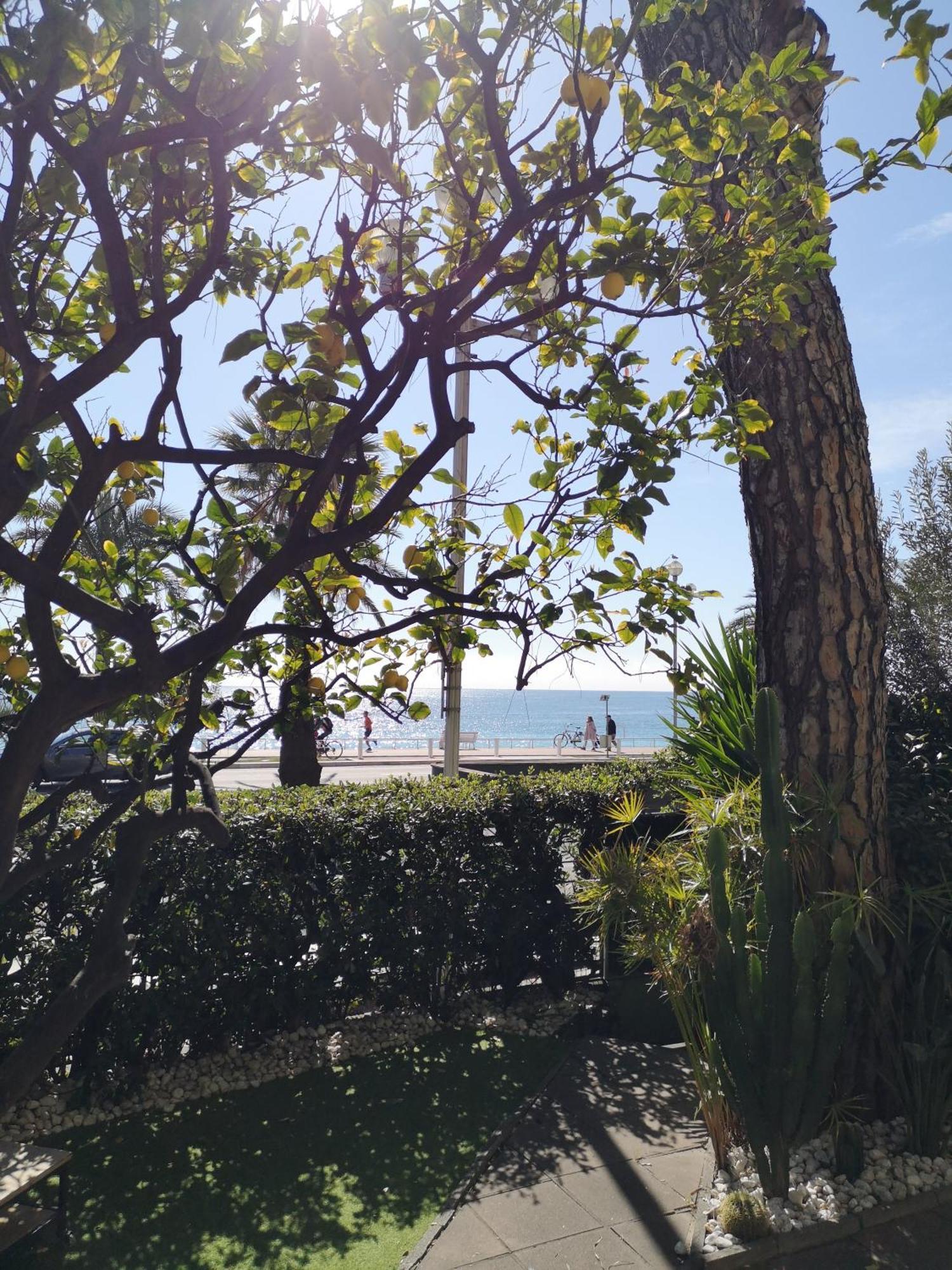 Garden Atlantide Promenade Nice Exterior foto