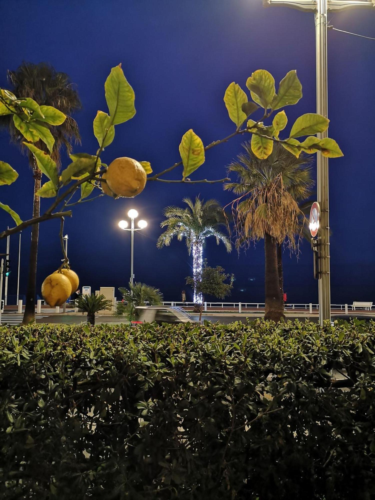 Garden Atlantide Promenade Nice Exterior foto