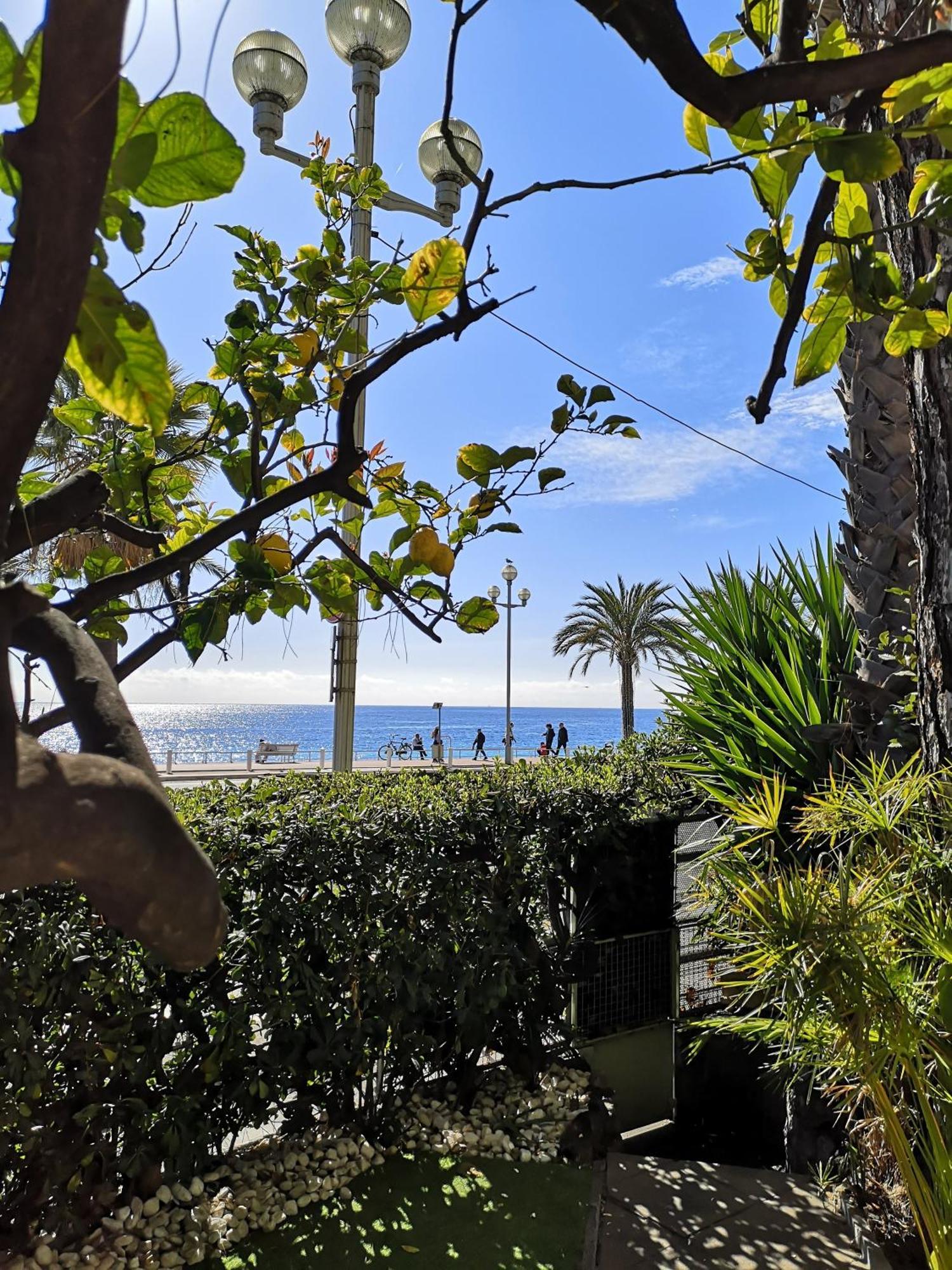 Garden Atlantide Promenade Nice Exterior foto