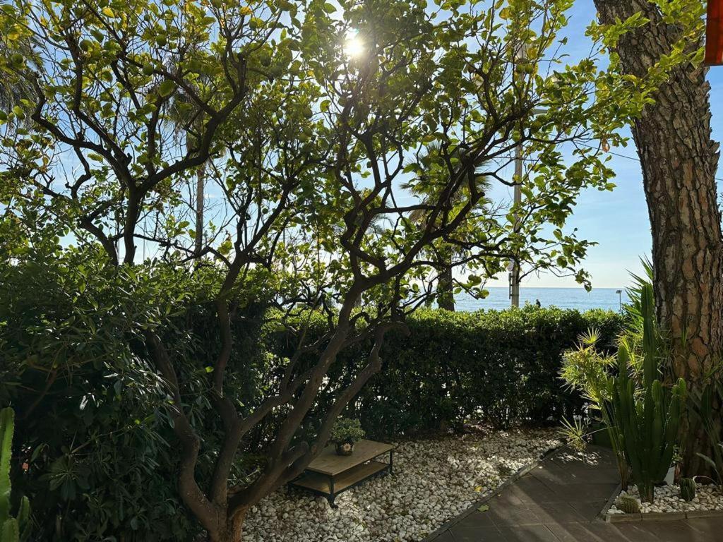 Garden Atlantide Promenade Nice Exterior foto